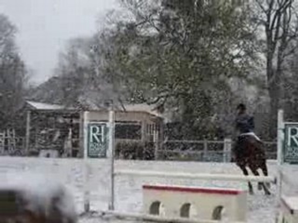 Concours de St Germain Sur Morin - Constance et Gypsi