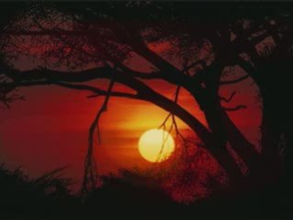 TRANCE - TRIBAL_ECHO - DJ RISE