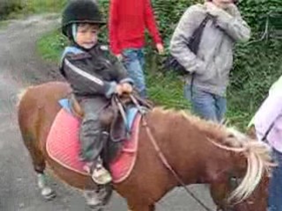 vive le poney!!