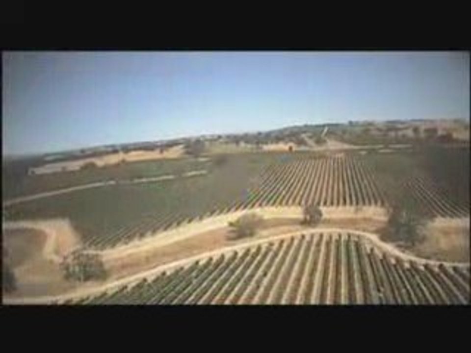 Tree Top Flying, Extreme nature