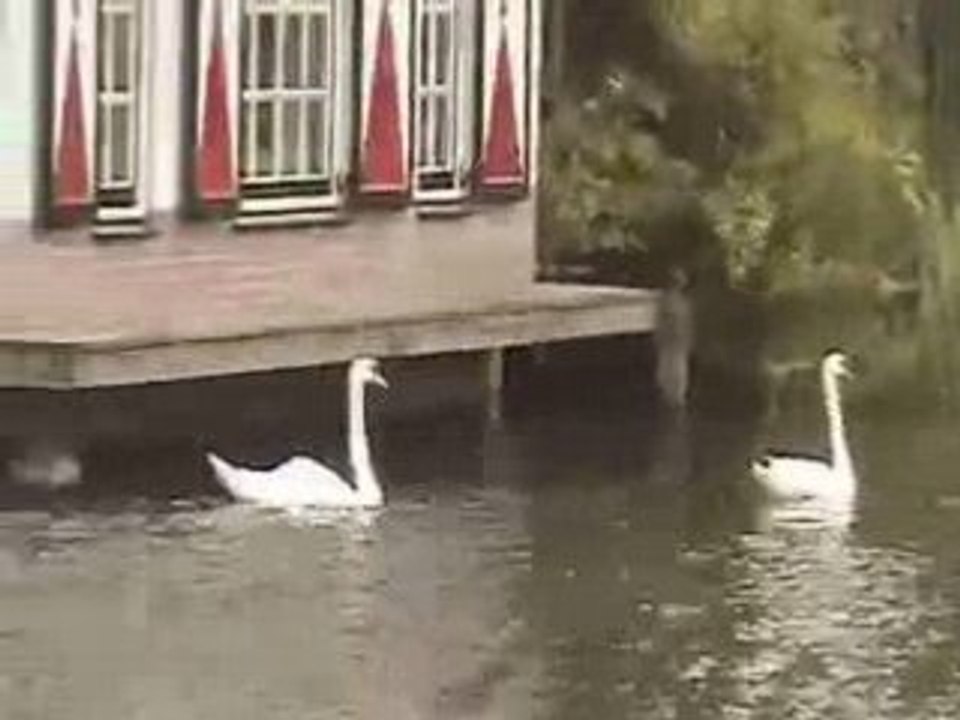 La Maison sur l'Eau...