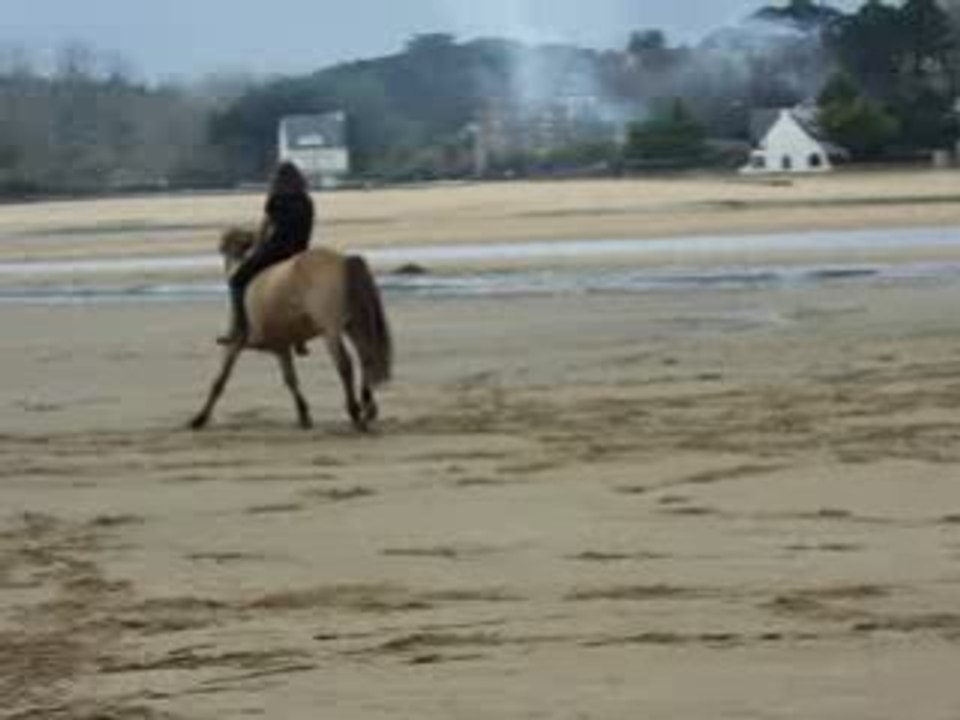 Selle 2ème essai