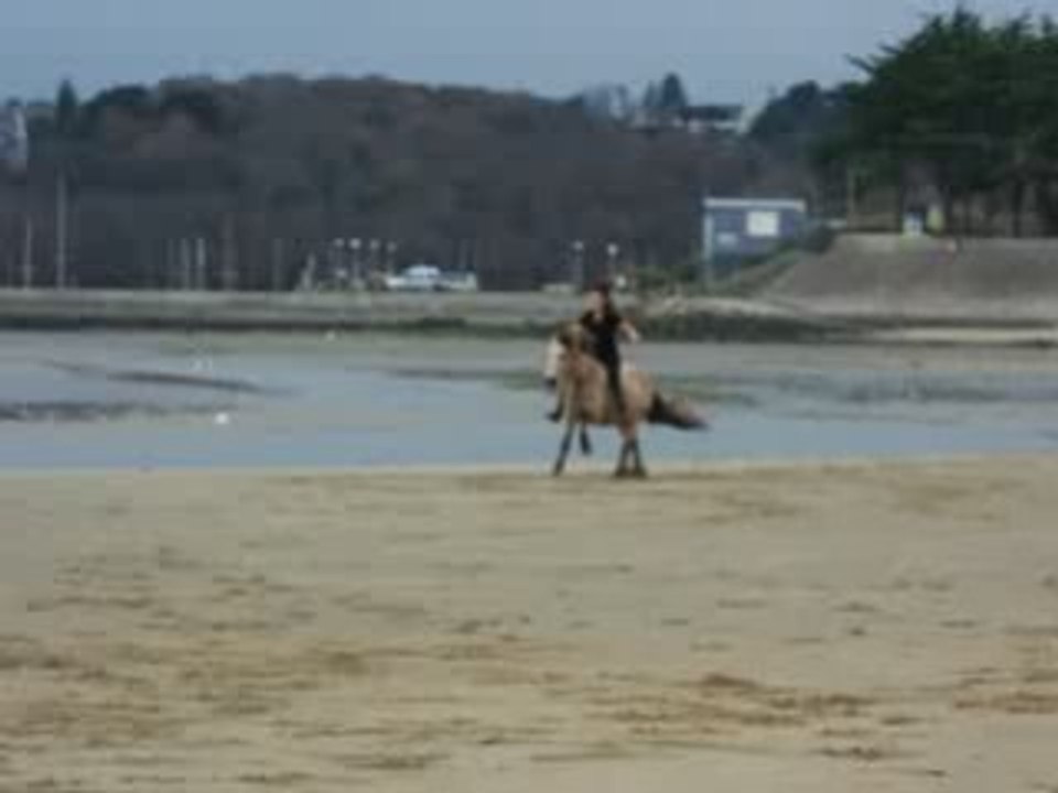 Galop retour