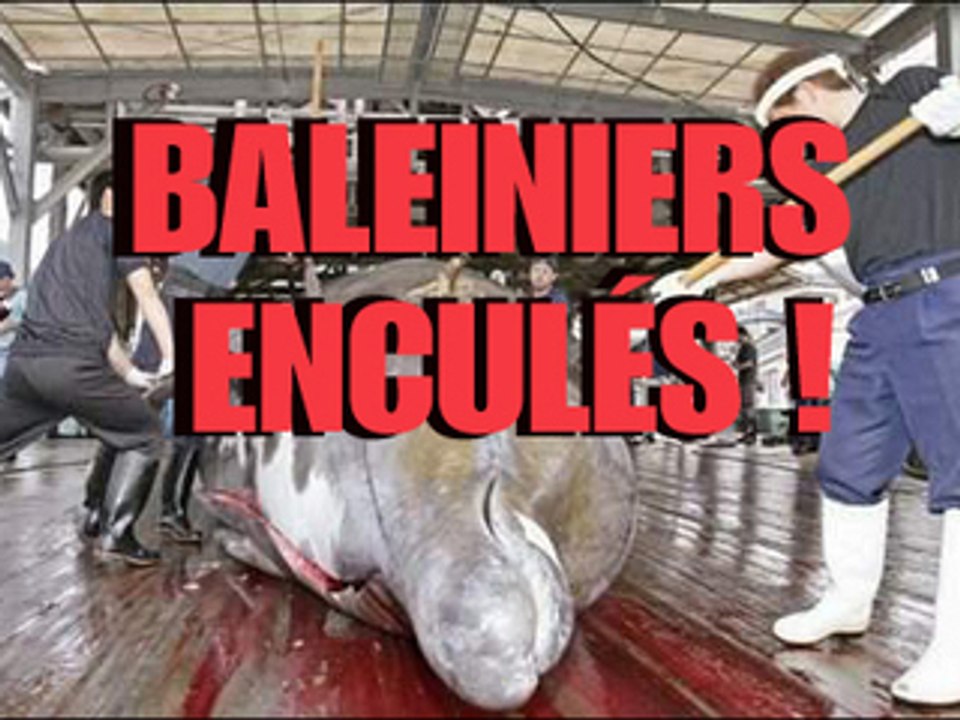 BALEINIERS  ENCULÉS ! (UN SUPO ET AU LIT)