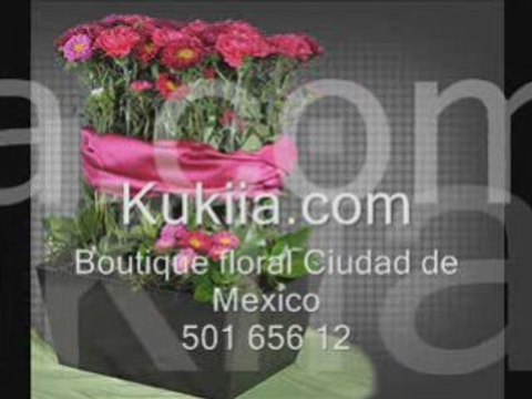 Flores y arreglos florales online floreria on line