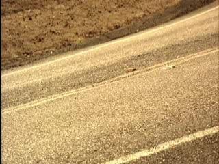 du bon son qui bouge! mdr