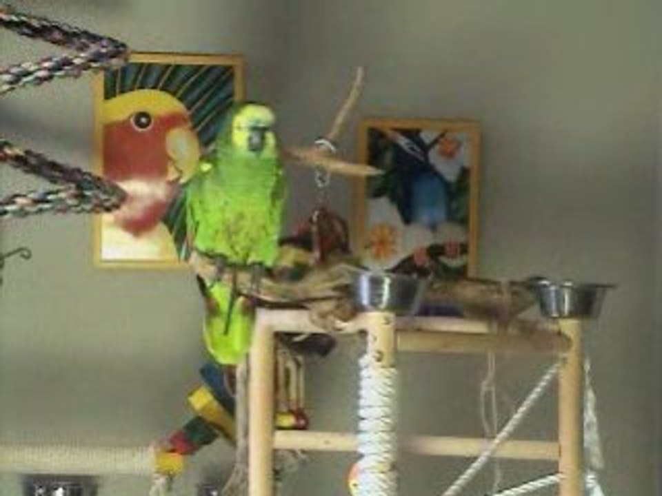 Tooki parle et chante