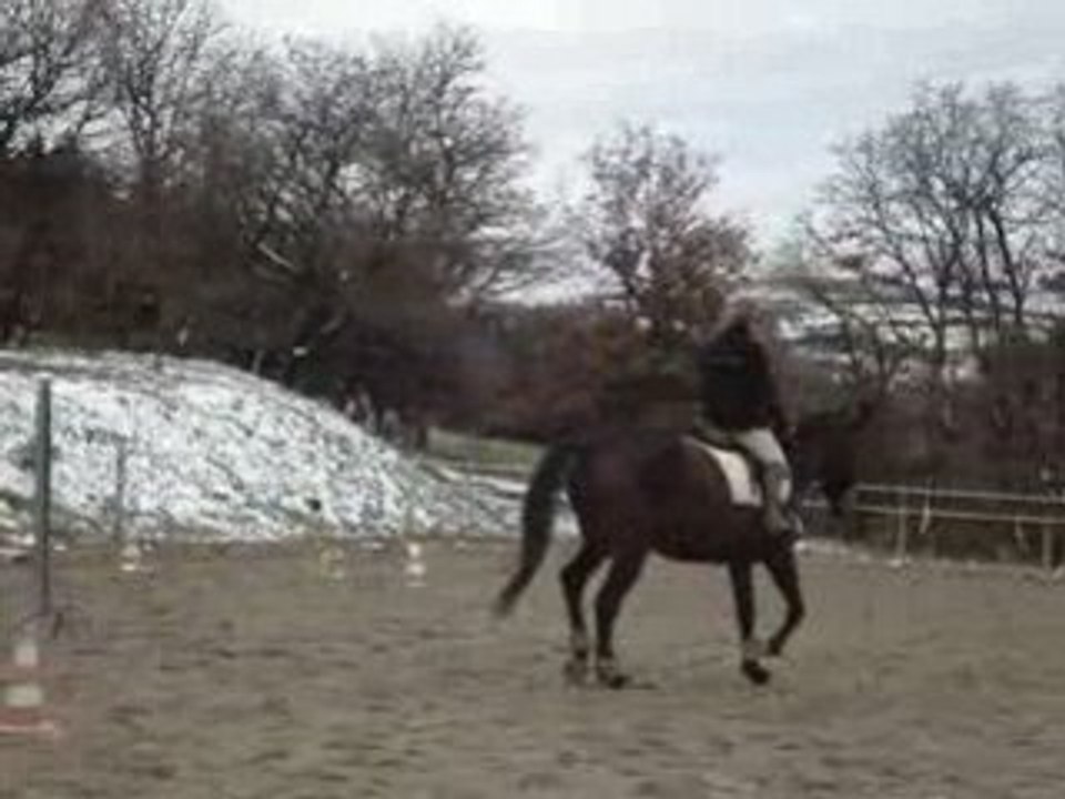 Trot quetsche
