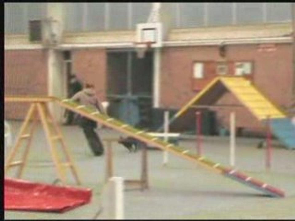 2ème degré pauline