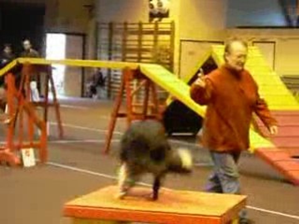 Capitole agility 2008 015