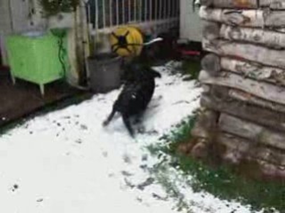 Rocky ds la neige 11.08