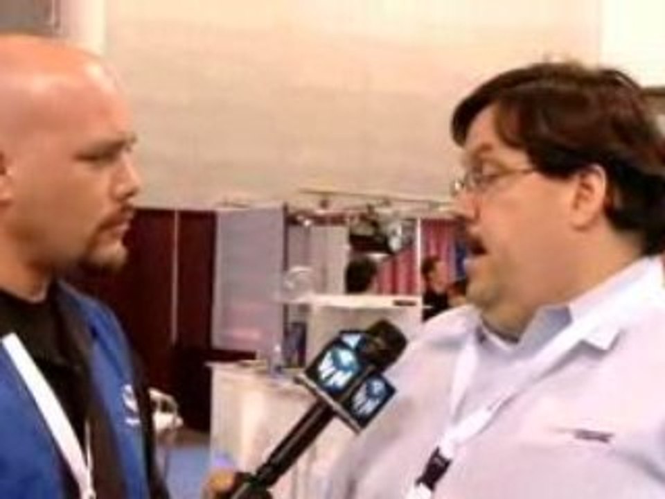 Understanding Linking Strategies for Large Companies ...