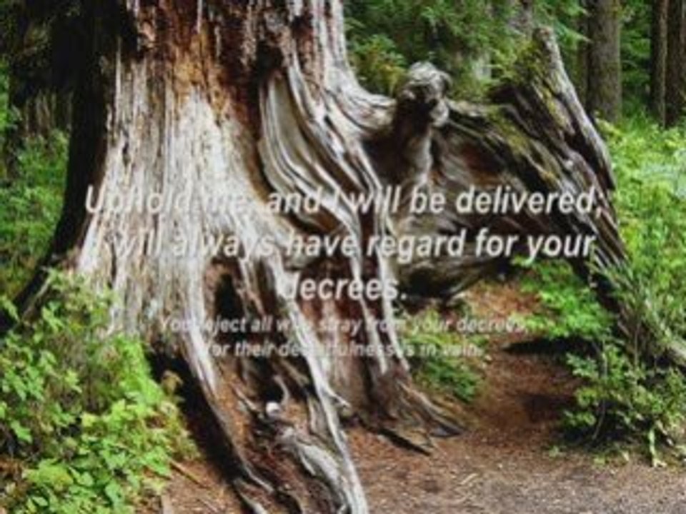 Psalm 119 Set to Beautiful Photographs and Music