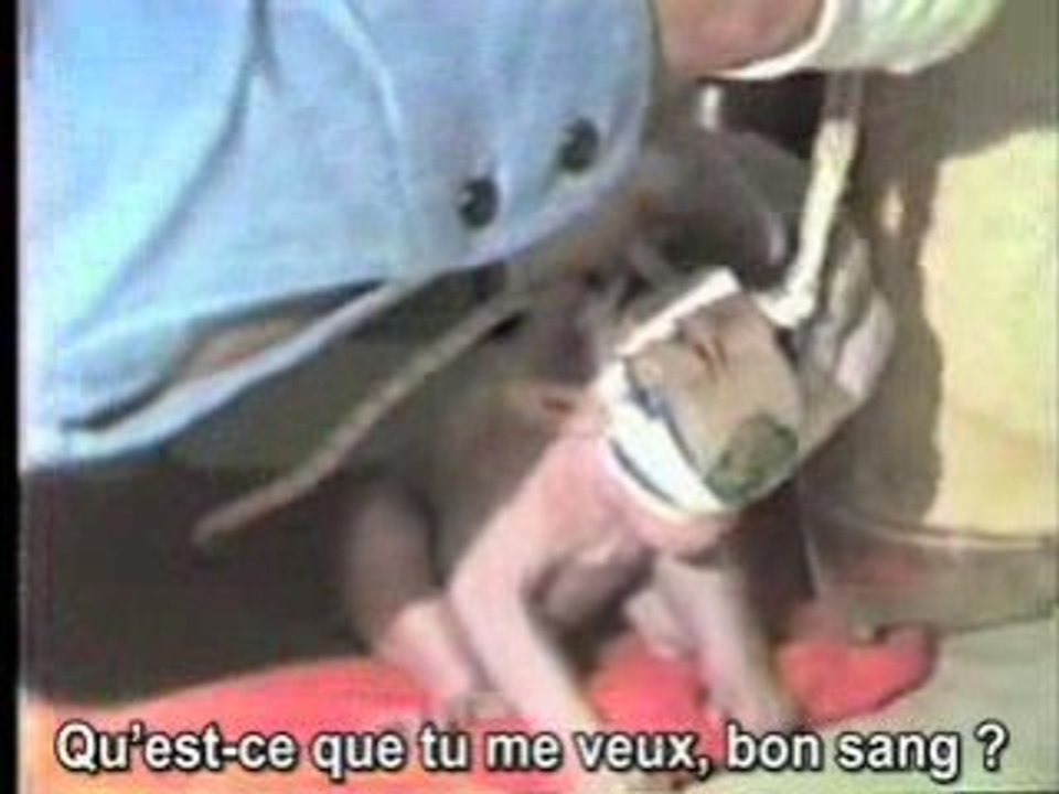 Libérez-moi (Goldfinger)