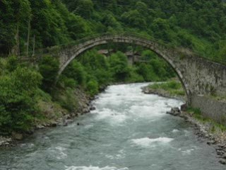 Robabeh Jan- Farid Farjad