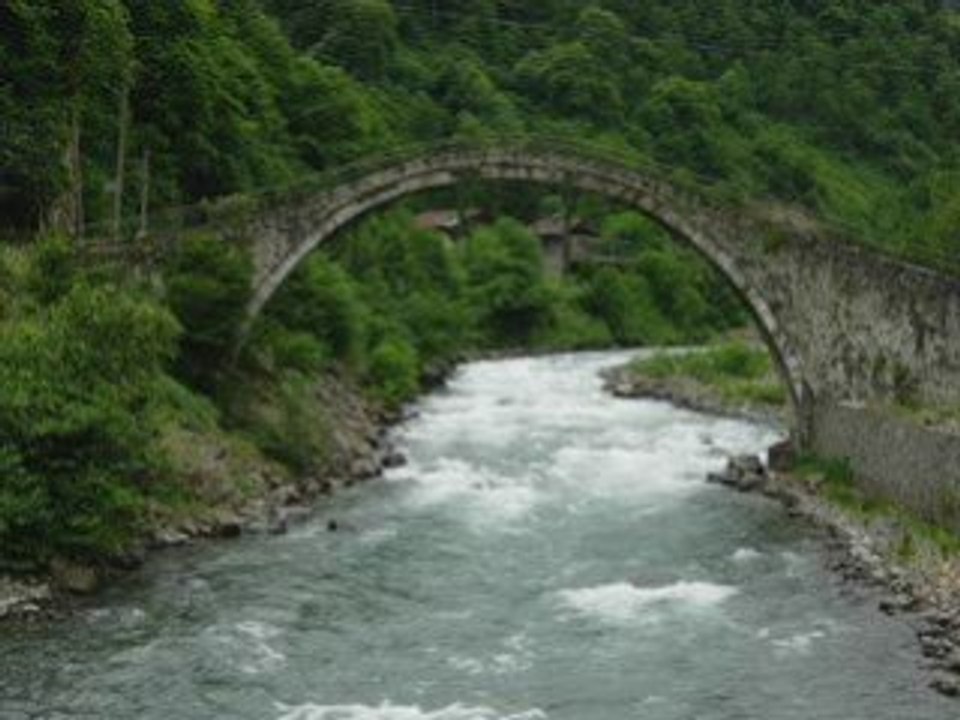 Robabeh Jan- Farid Farjad