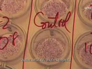 Mâles en péril - Extrait 3