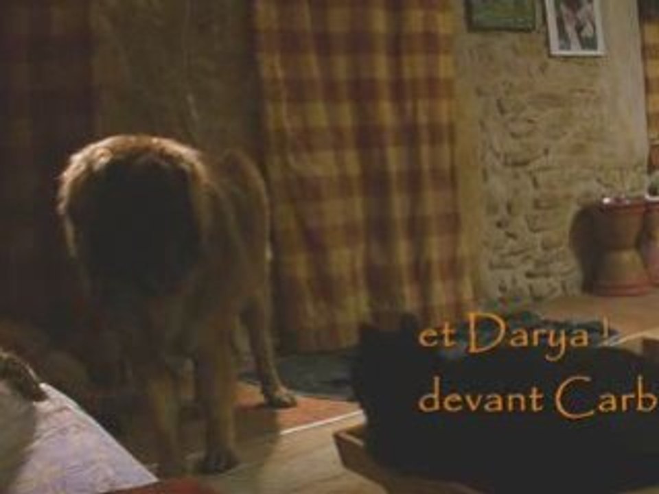 Les leos parlent