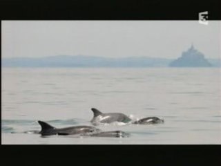 "Des racines et des ailes" : l'association Al-lark