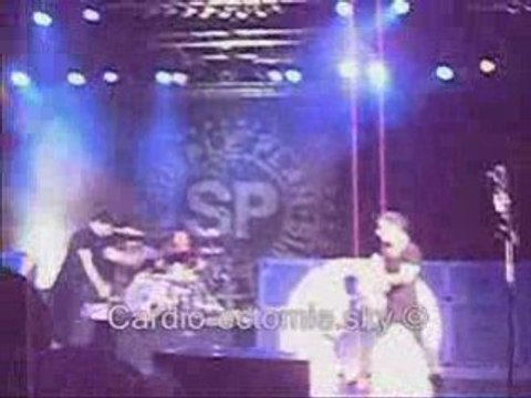 Time to say good bye - Simple Plan Lille