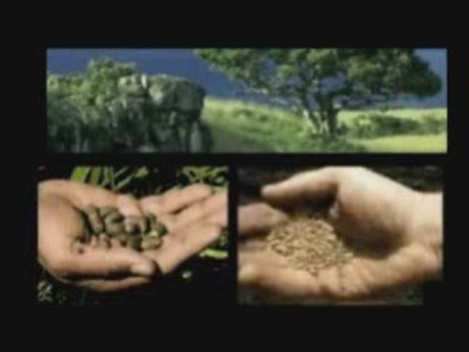 Zeitgeist Exposed and Refuted