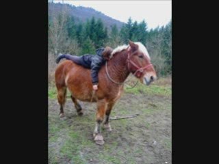 Délires sur Hugo+apprentissage révérence à Tiramisu