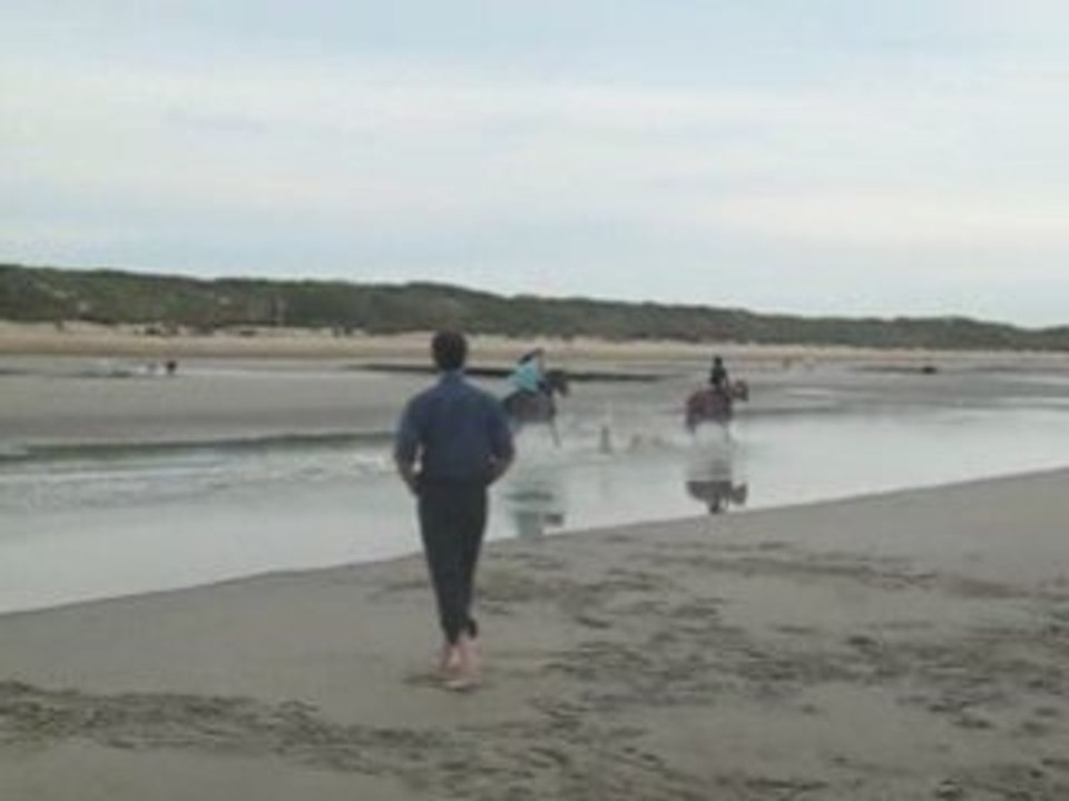 galop sur la plage