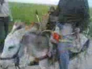 HMAR TTS OPTION Newcar