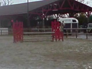 concours CSO avec rocqy