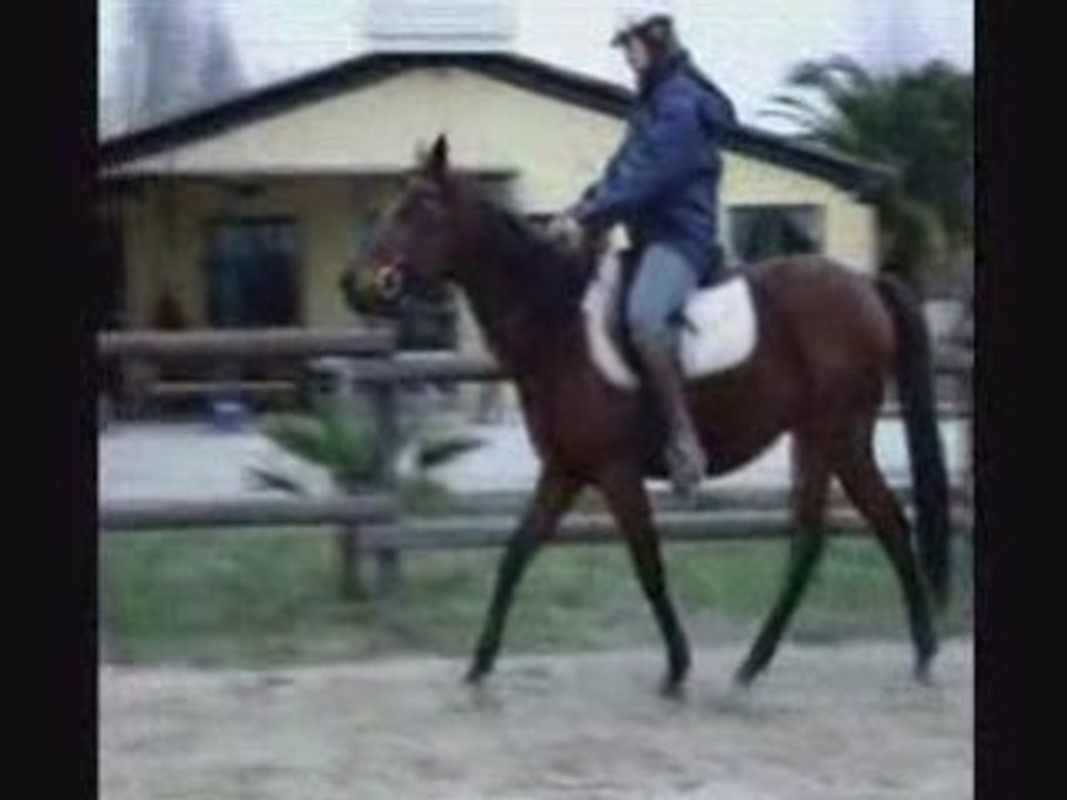 ESSAI SPIRIT