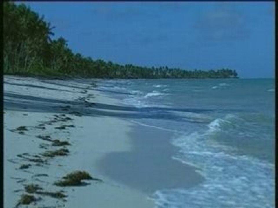 Les Anges Noirs de l'Utopie