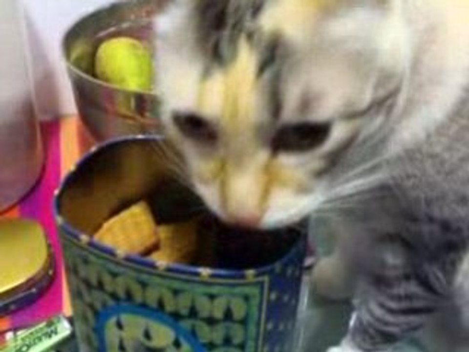 Ari y las galletas