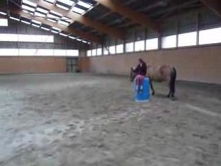 jeu du cercle en liberté sur un tonneau