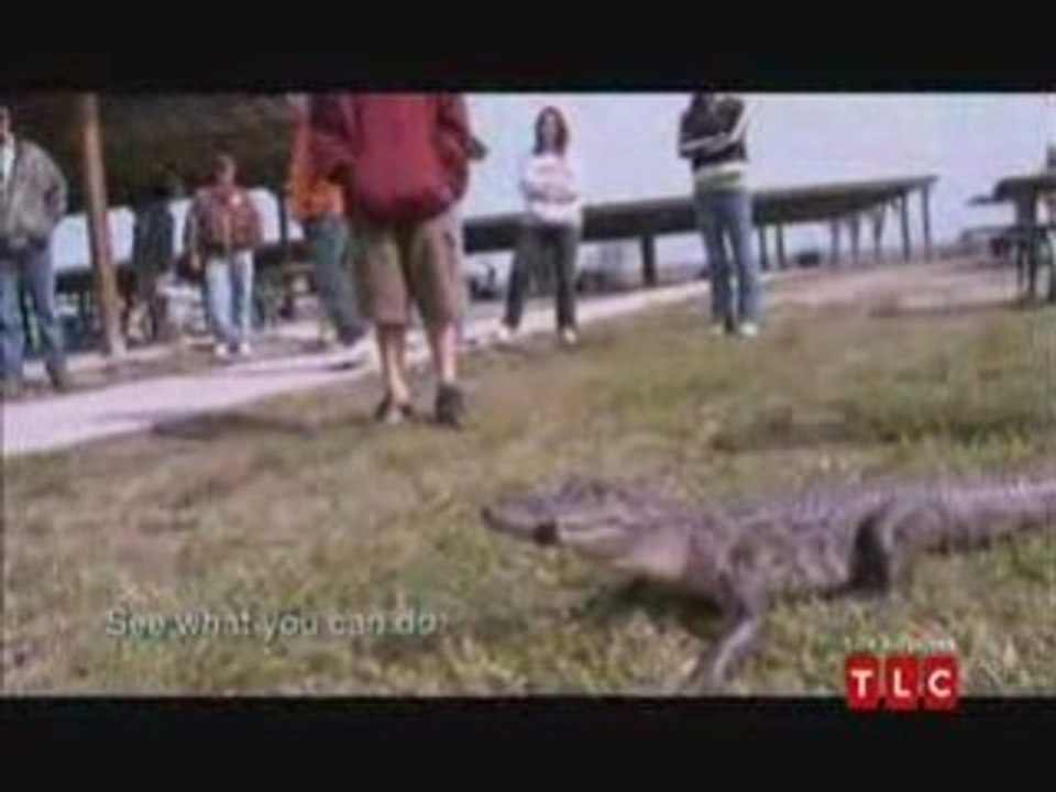 Little People, Big World - Amy Catches a Gator