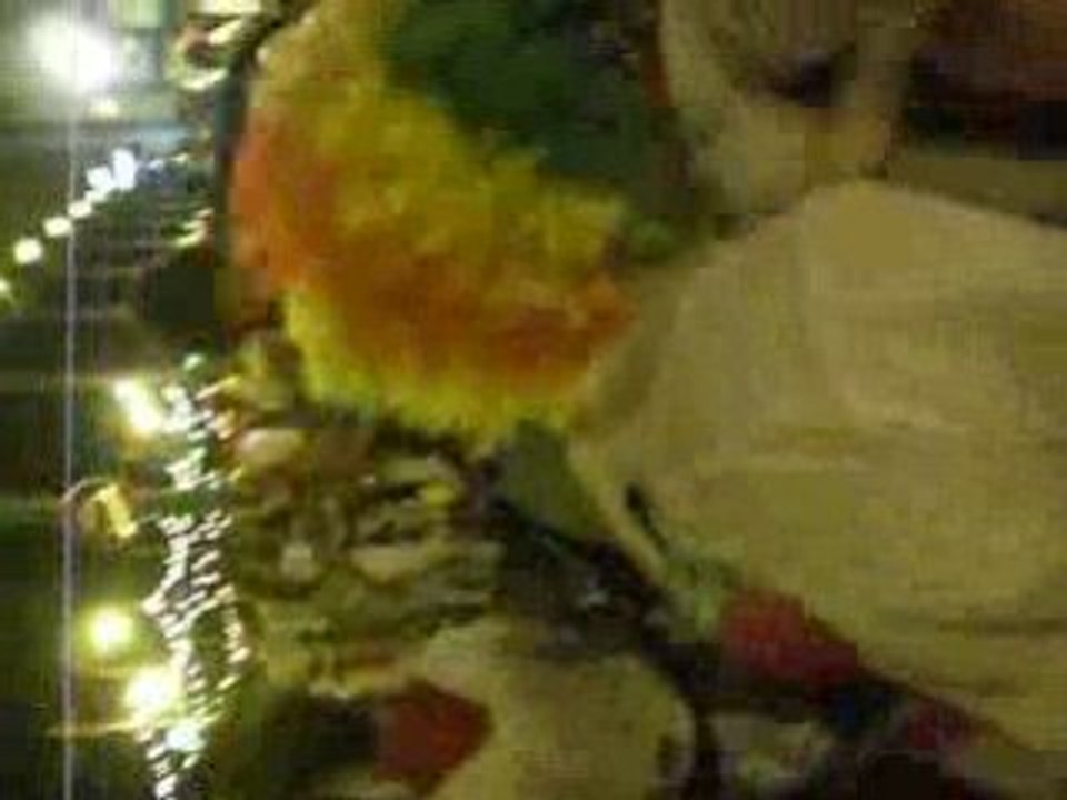 CIMG2842