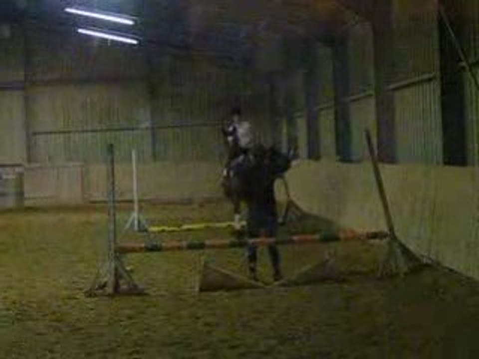 DSCF3881
