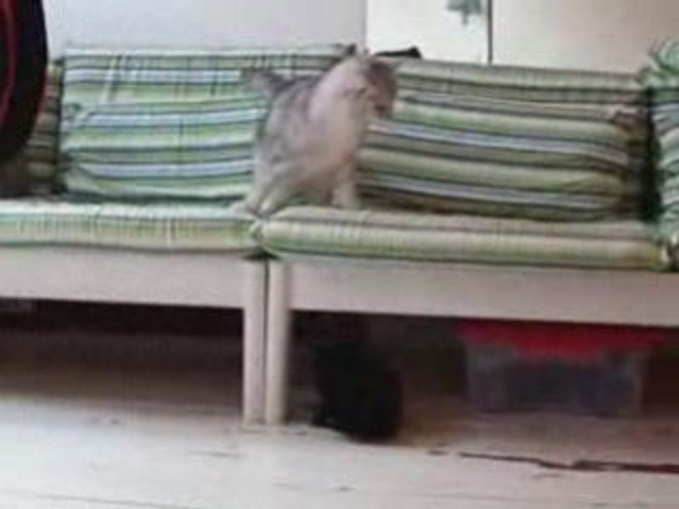 смешно