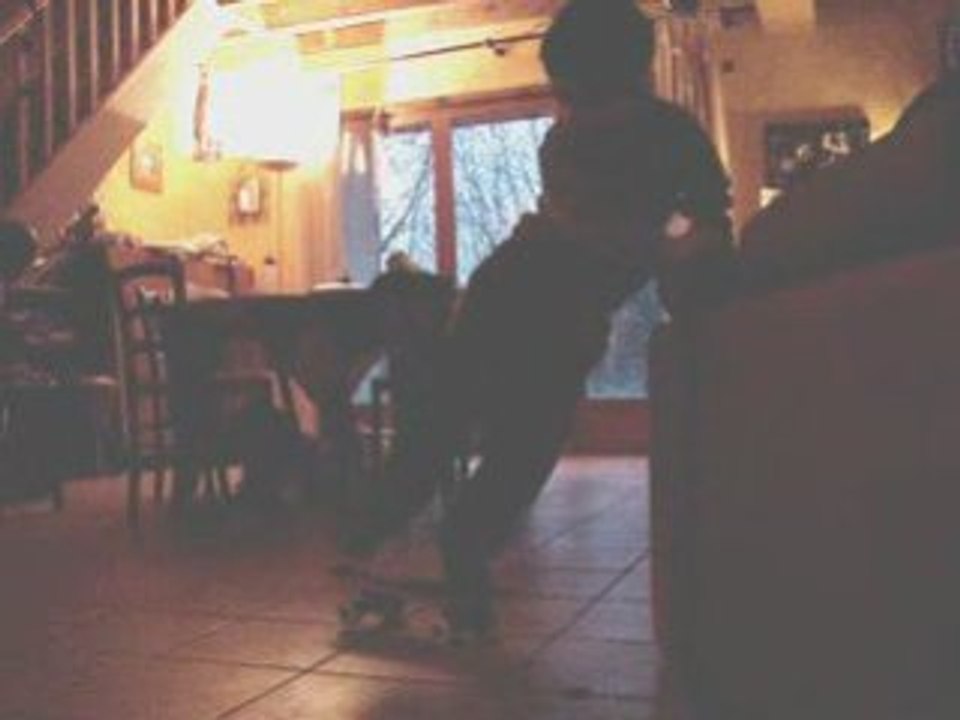 SK8MICH