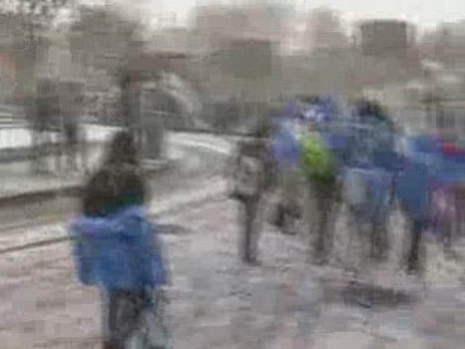 Disneyland Sous La Neige