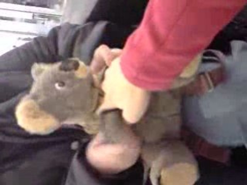 Tecktonikoala : reportage inédit