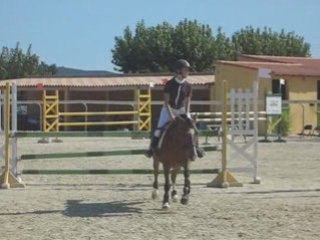 Miel pop's encore et toujours