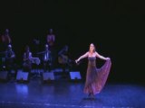 Spectacle flamenco  cendrillon  - cuento flamenco cie flamenca vanessa domiati