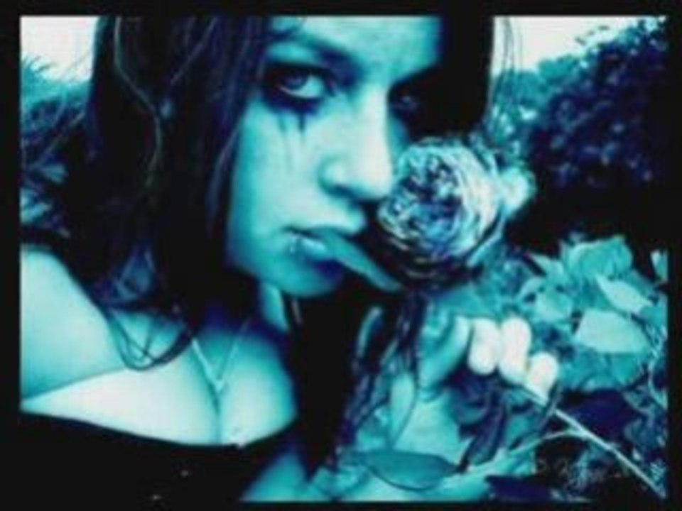 Frozen Plasma - A second of life