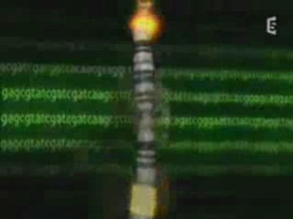 Evolution - Big bang à 1997
