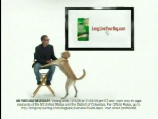 Vote for Your Favorite "Marley & Me" Dog