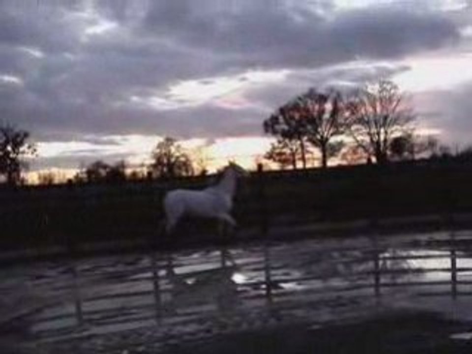 24 novembre 2008