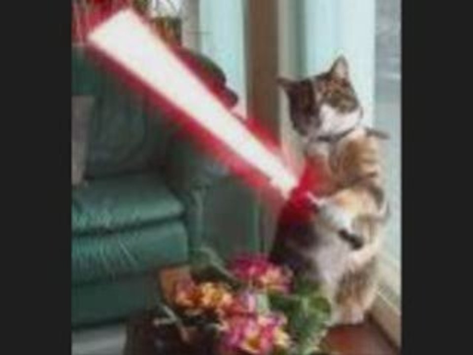 Nos annimaux les tarés premiéres parties