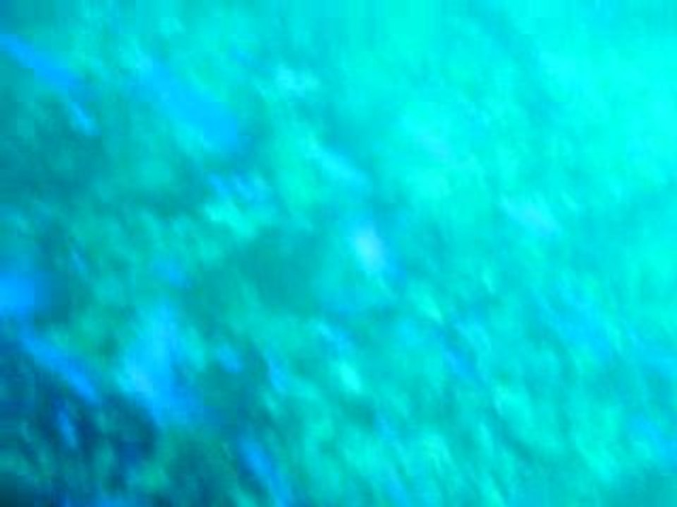plongee2311-2