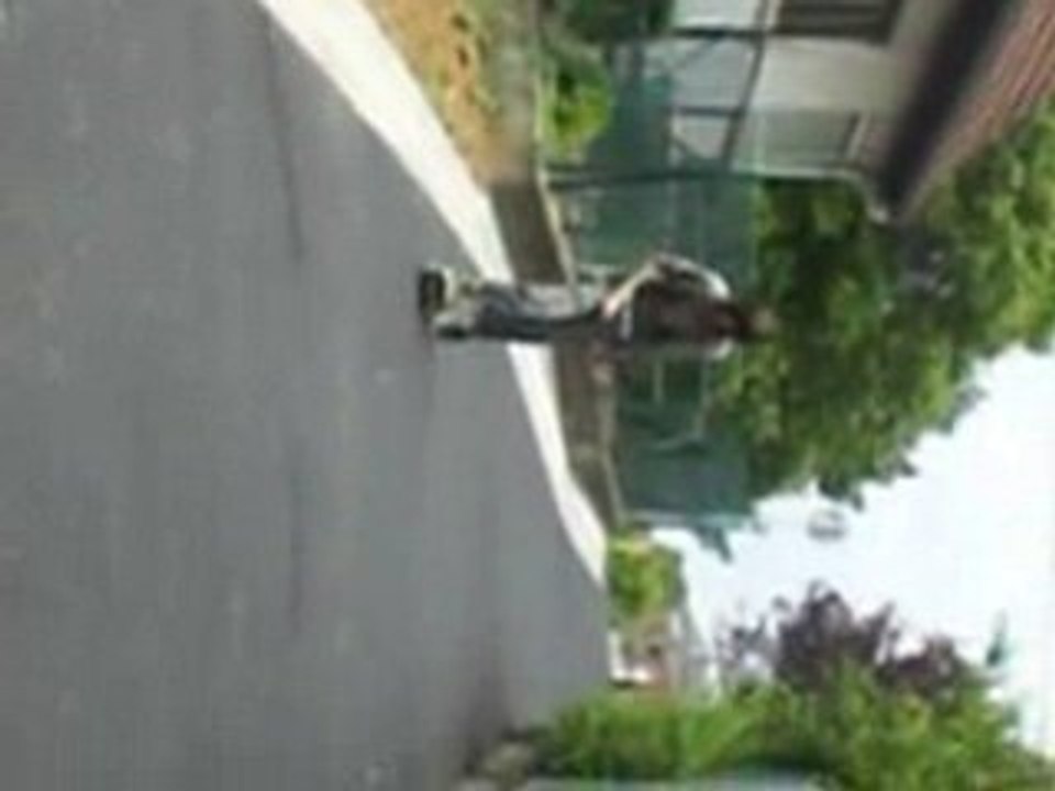 Skate & Délire
