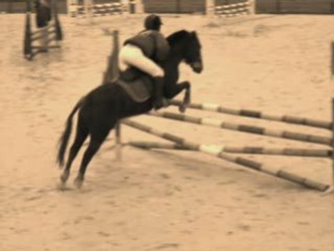 2ème test OI/ Léa et Nina/ cso La ramée/ 1ère !